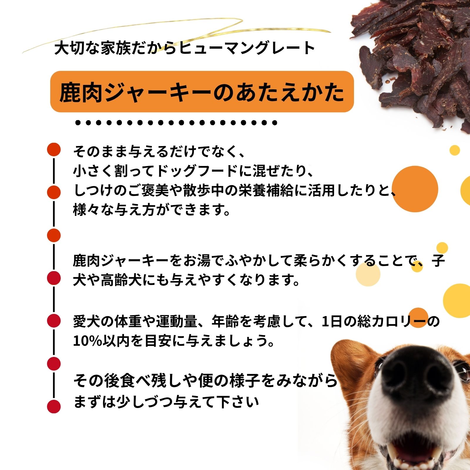 風伝・ジャーキー (鹿肉50g）