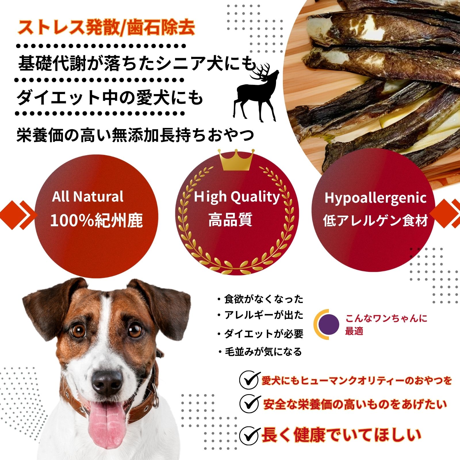 八咫・スペアリブ（鹿骨50g）