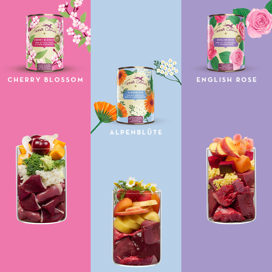 フラワー3種類 限定ギフトボックス