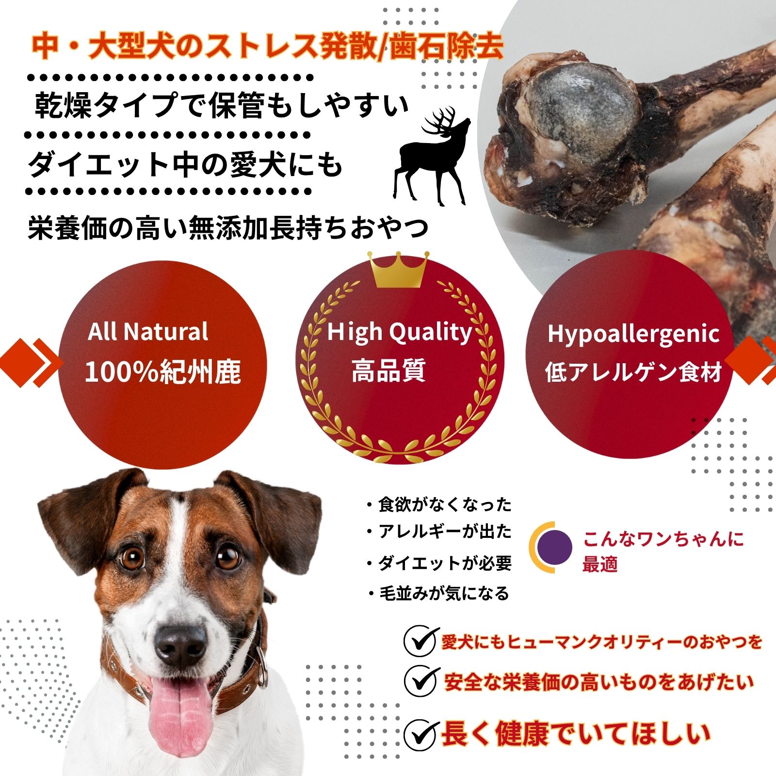 熊野・大腿骨  (特大200g~）　　　1本