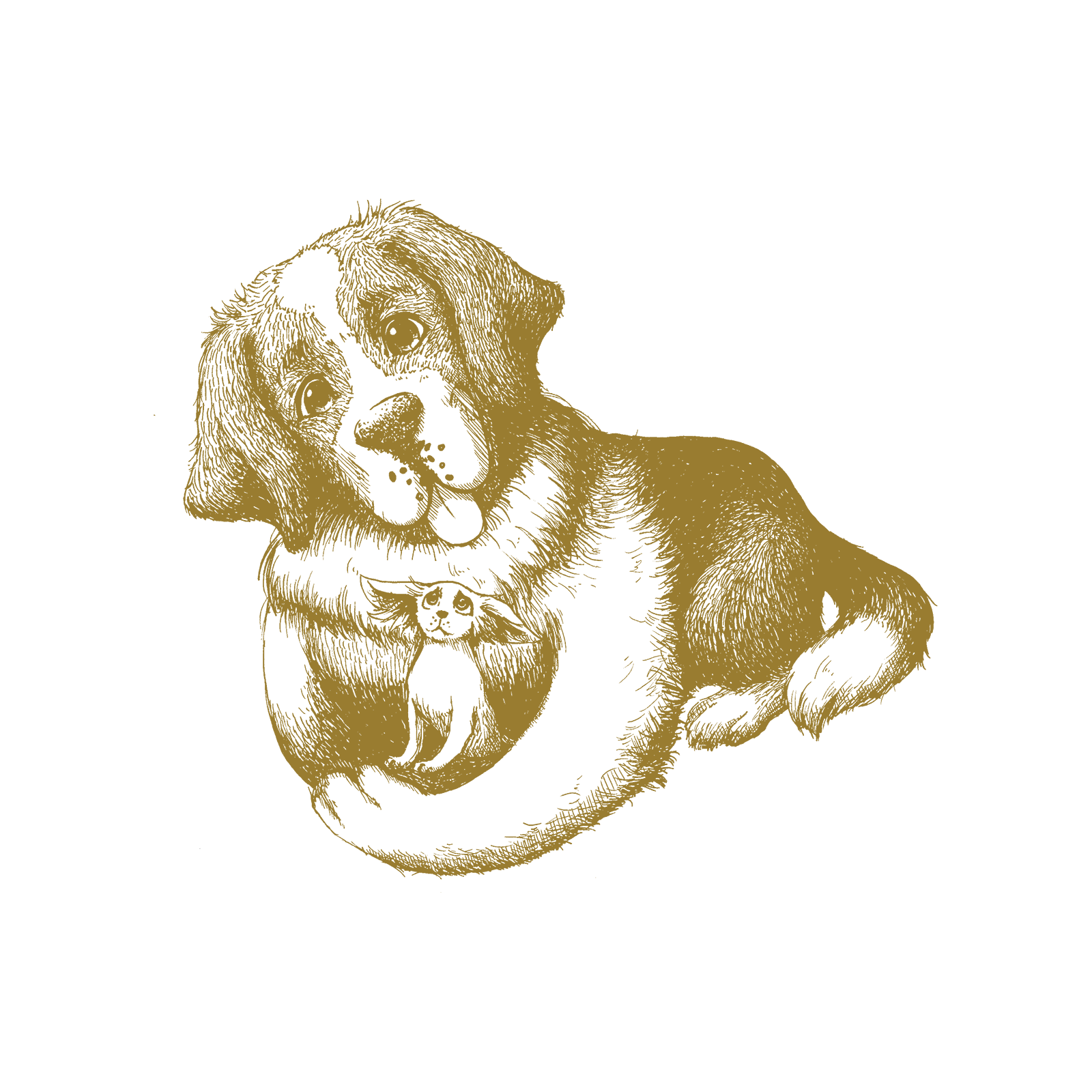 ハーバルヒーローズ ブレイブハート