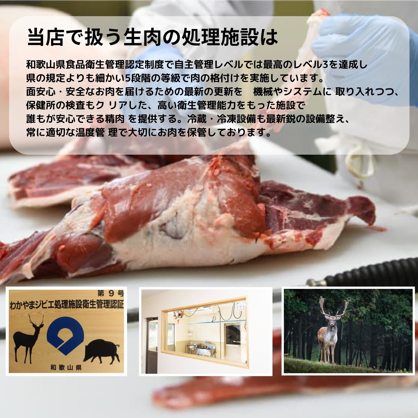 紀州ジビエ/鹿肉ミンチ 0.5kg   (冷凍) 生肉