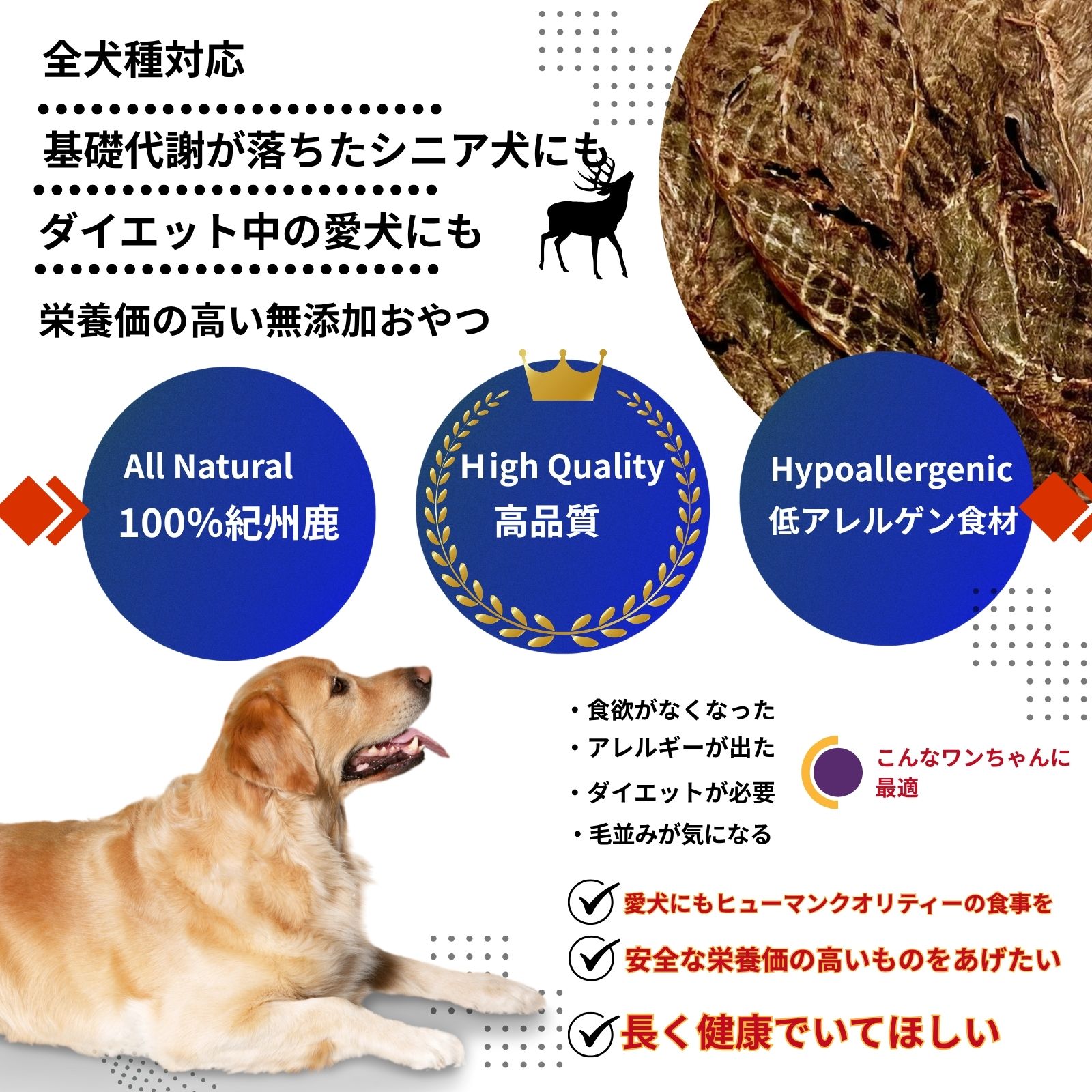 ZIBI 紀州ジビエ 4点セット（風伝・熊野・八咫・伊吹）