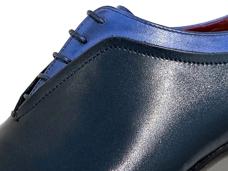 STS-256F(D-NV/AQU,D-NV/L-BLUE,L-BLUE/L-GRN) カラー: D-NV/L-BLUE, サイズ: 24.5