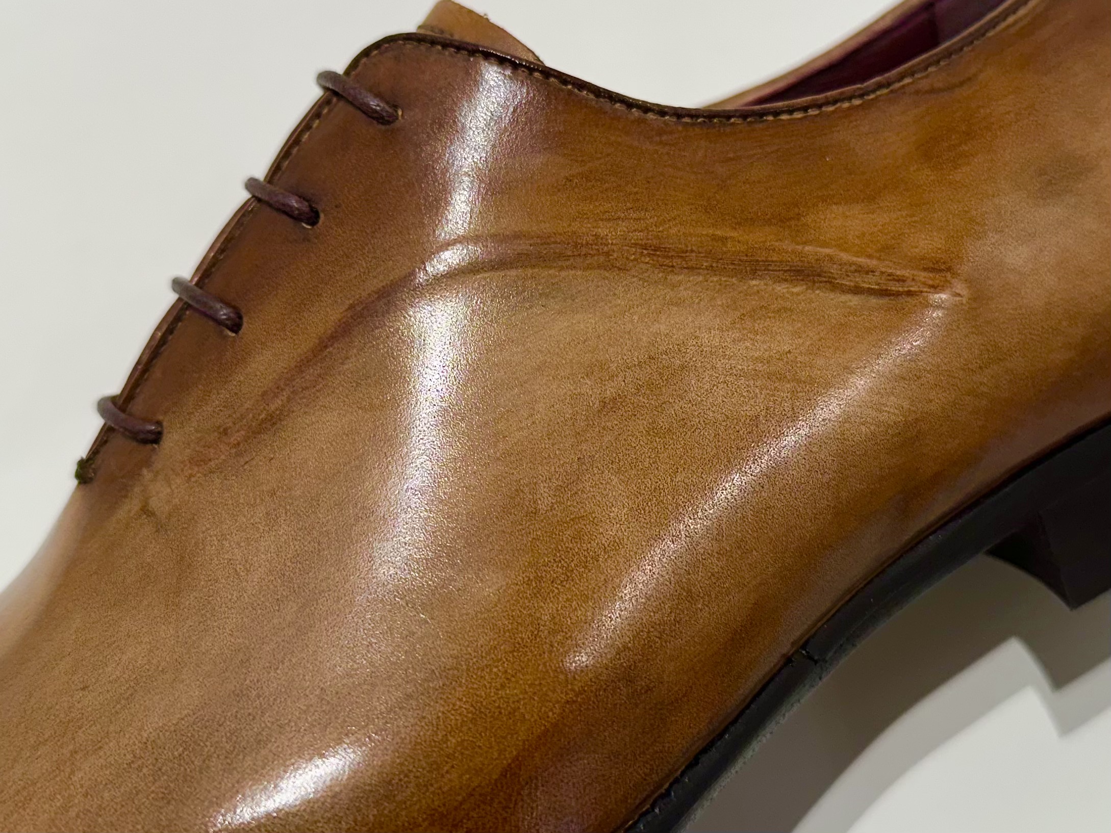 STS-020FH(CAM,PPL) カラー: CAM, サイズ: 25.0