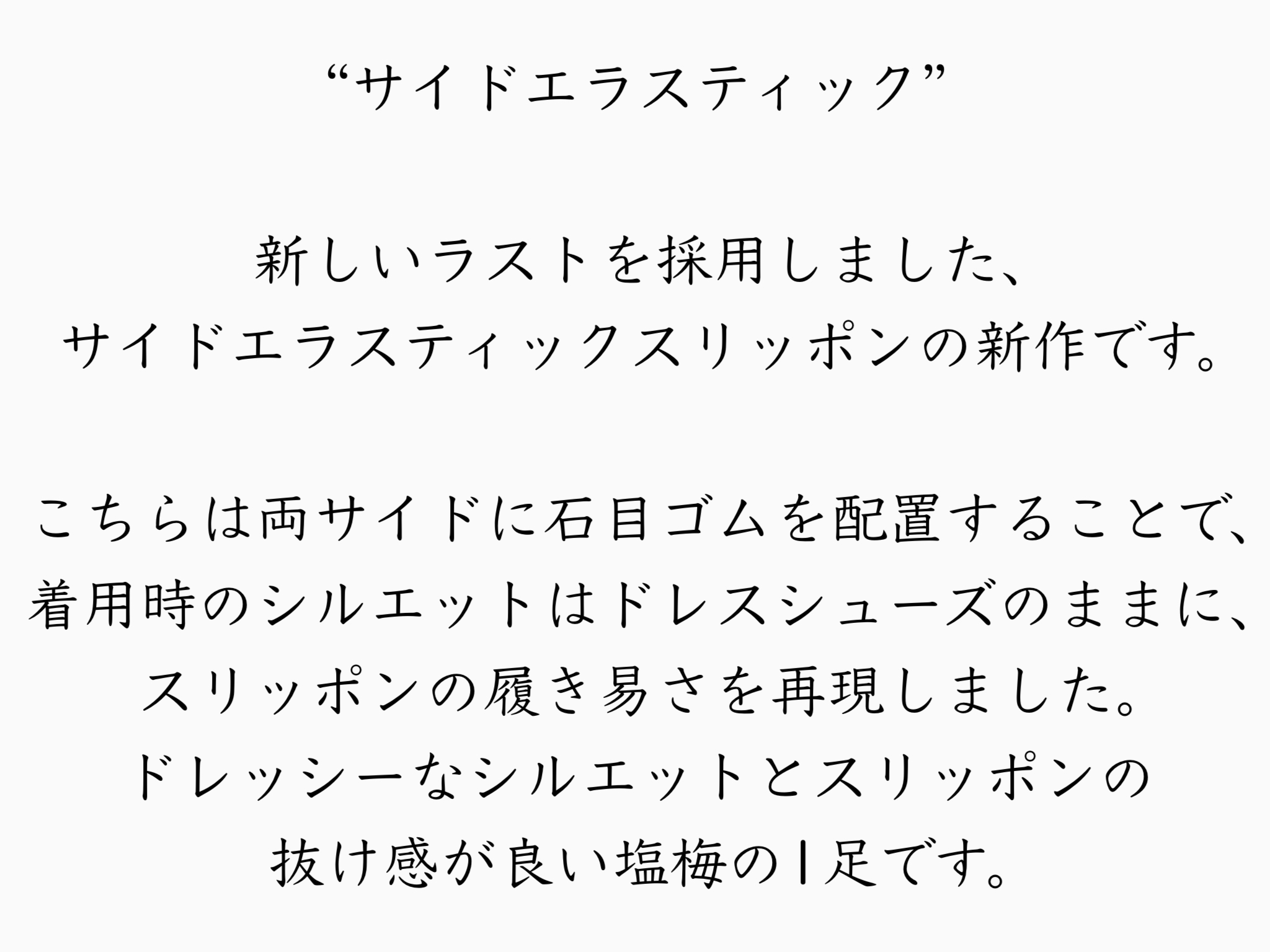 STS-622(BL,DBR,NV) カラー: BL, サイズ: 24.5