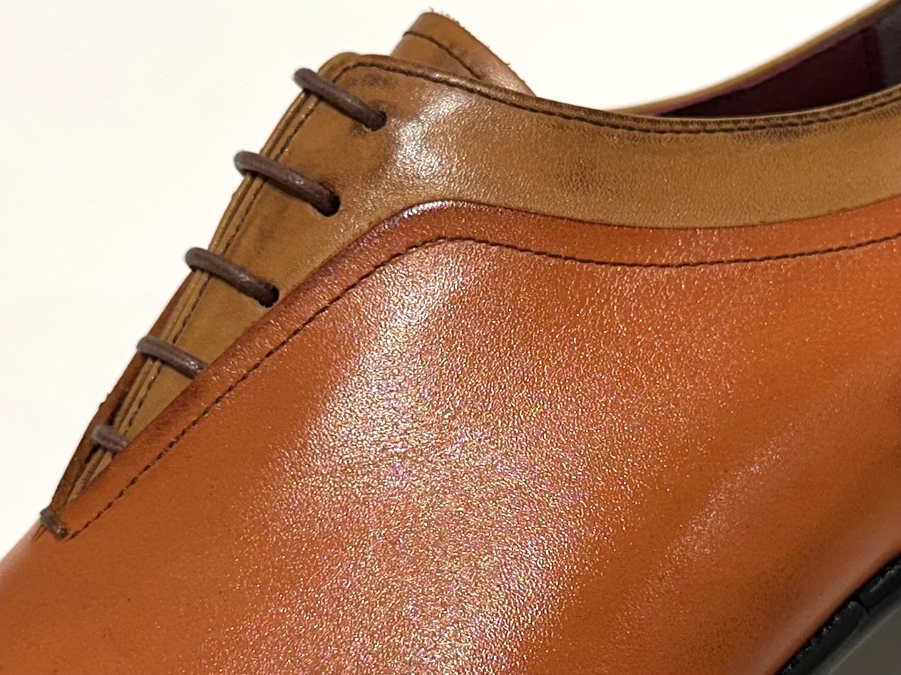 STS-256F(L-GRY/WIN,ORG/LBR,WIN/BO) カラー: ORG/LBR, サイズ: 24.5